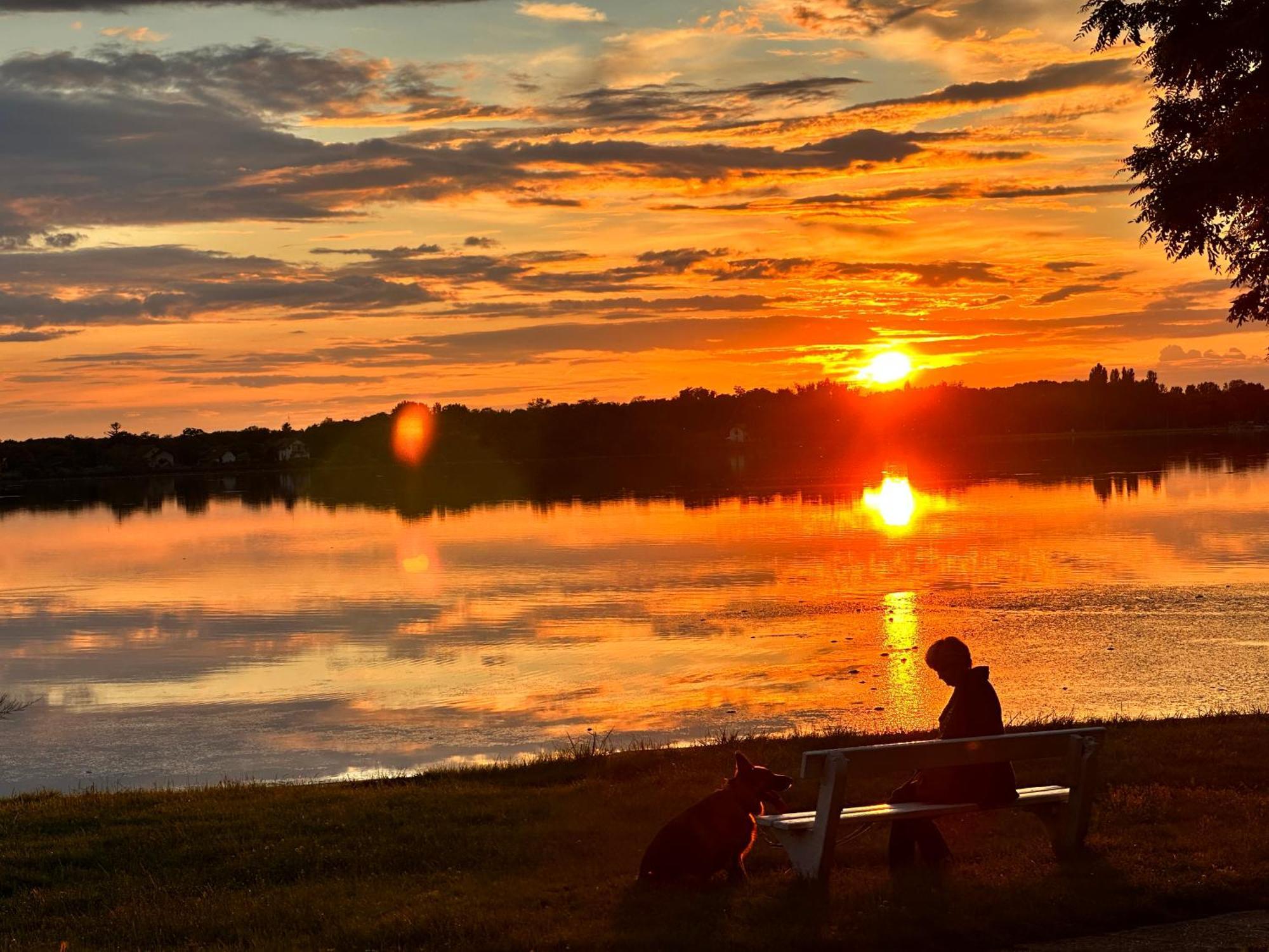 Vila Regina Palić エクステリア 写真