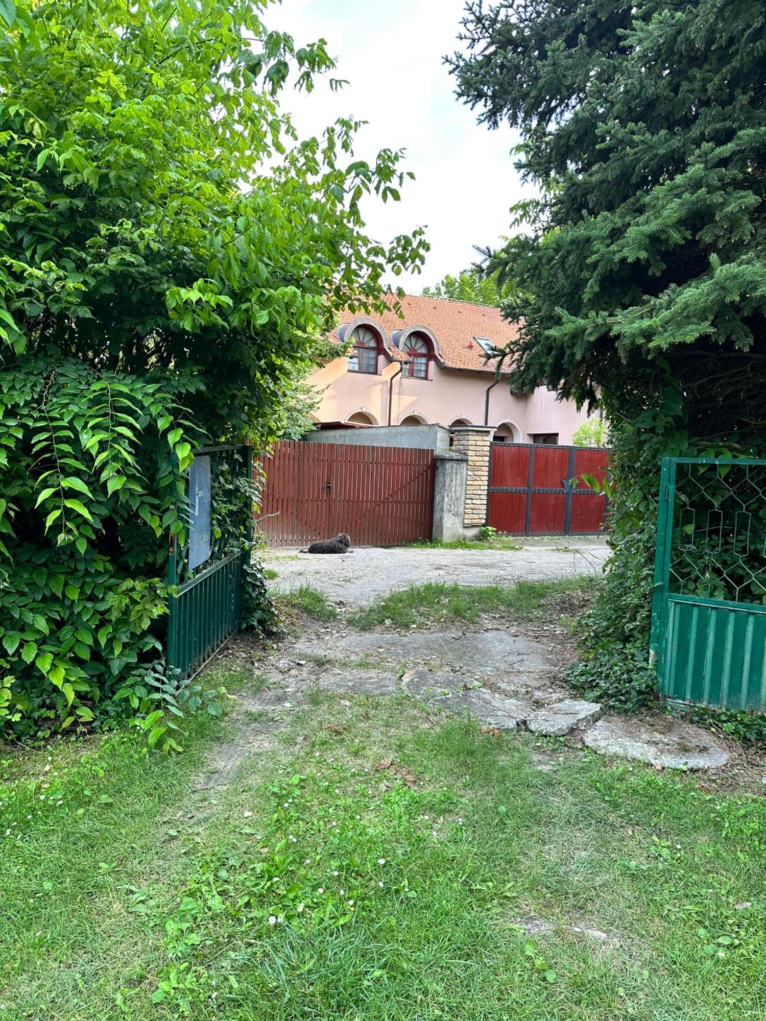 Vila Regina Palić 部屋 写真