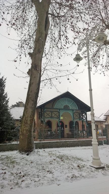 Vila Regina Palić エクステリア 写真