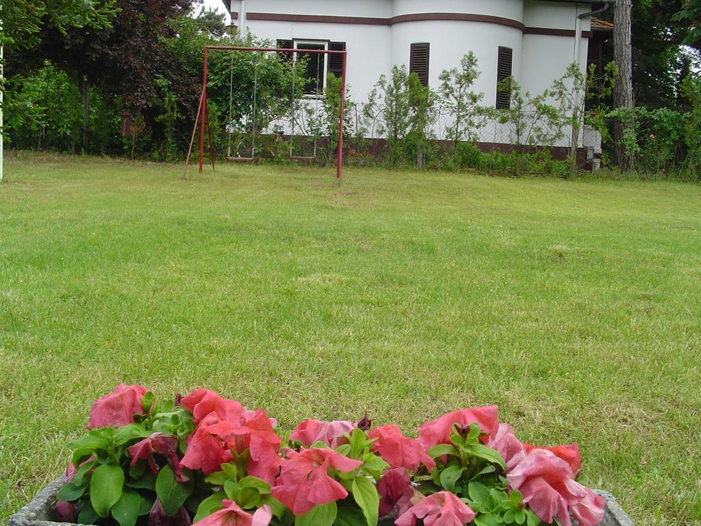 Vila Regina Palić 部屋 写真